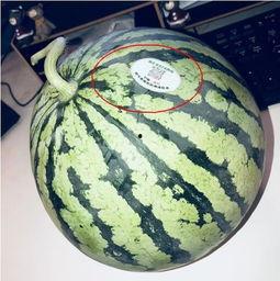 群里吃瓜网红,揭秘网络红人的幕后故事