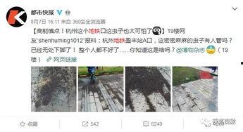 小黑视频爆料,揭秘娱乐圈惊人内幕 第3张 小黑视频爆料,揭秘娱乐圈惊人内幕 第3张